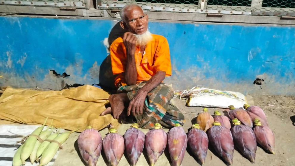 কলার মোচা বিক্রি করেই চলে মজিবরের সংসার, দুই নাতনিকে নিয়ে জীবনসংগ্রাম