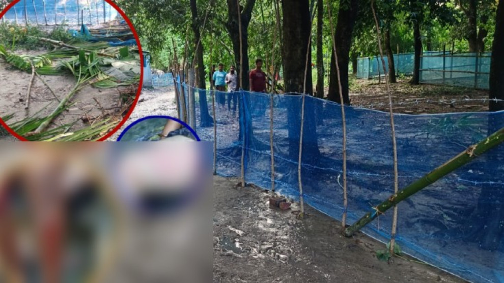 কালিগঞ্জে রাস্তা নিয়ে বিরোধে সংঘর্ষ, বৃক্ষ কর্তন ও জমি দখলের অভিযোগ
