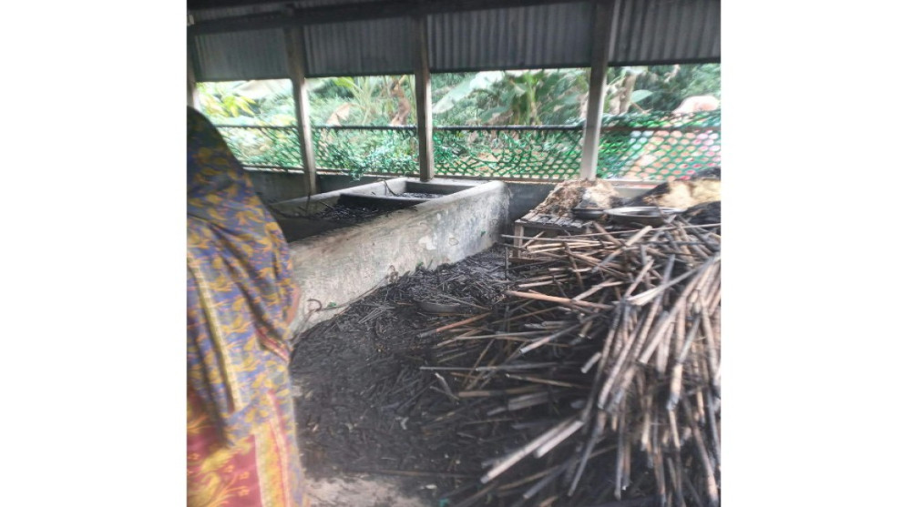 সিংগাইরে অগ্নিকাণ্ডে ৯ লাখ টাকার ক্ষতি, দগ্ধ গৃহকর্ত্রী হাসপাতালে